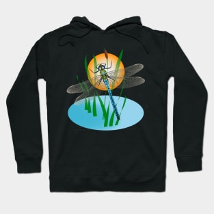 Blue dragonfly in natural environment Hoodie